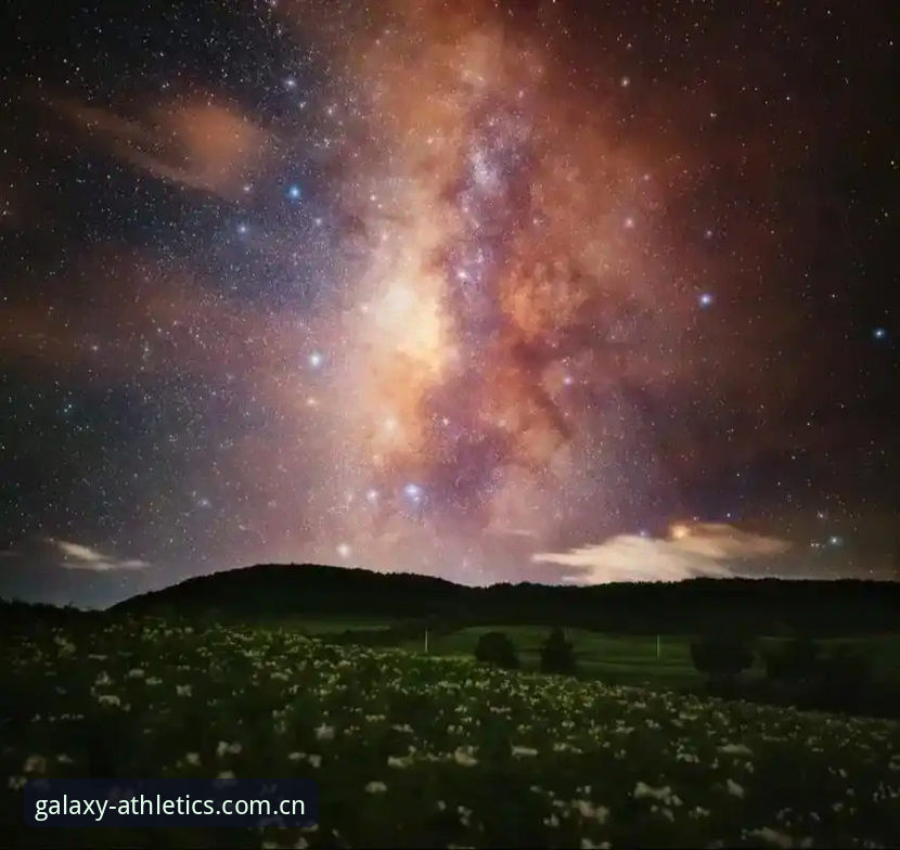 星空体育app功能实用指南：老用户分享的必备知识与技巧